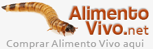 alimento vivo